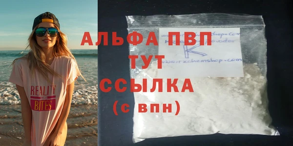 спиды Бородино