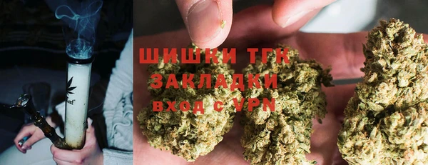 амф Богородск