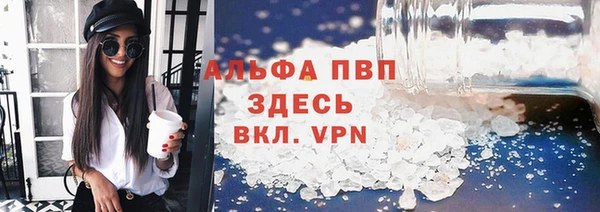 спиды Бородино