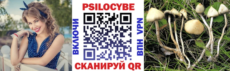 Галлюциногенные грибы Magic Shrooms  гидра ссылки  Зима 
