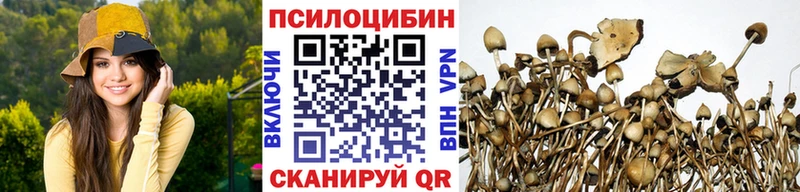Галлюциногенные грибы Psilocybe Зима