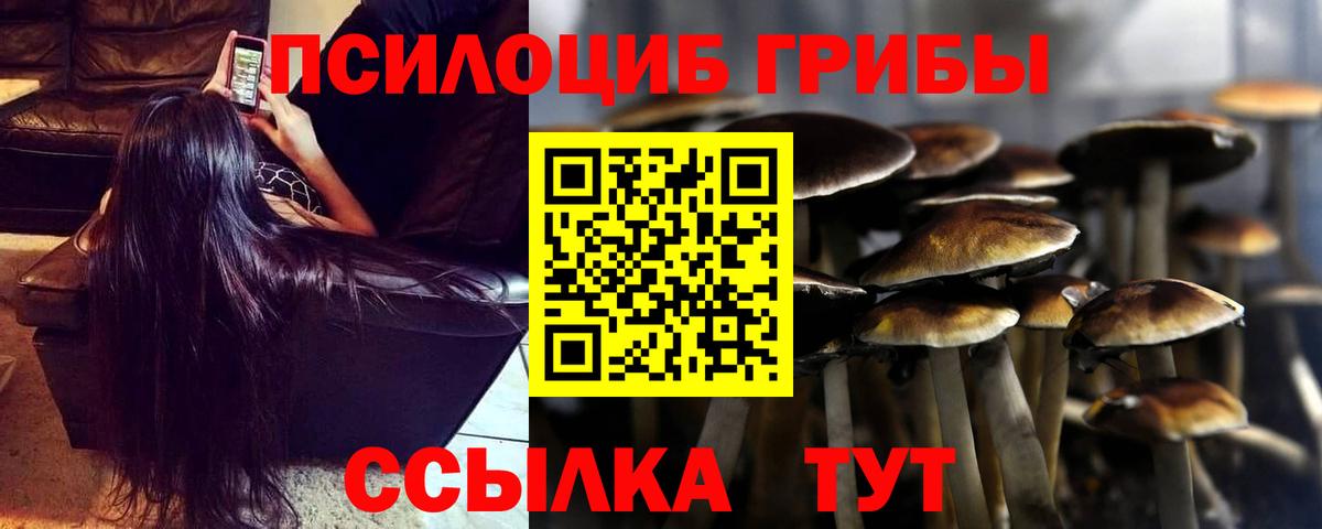 Галлюциногенные грибы Psilocybine cubensis Зима