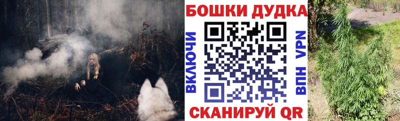 Конопля марихуана Зима